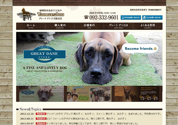 福岡県糸島市でグレートデンを販売しています。